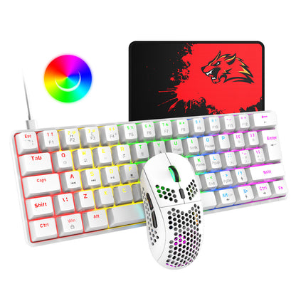 Setup Gamer Completo RGB – Kit PRO
