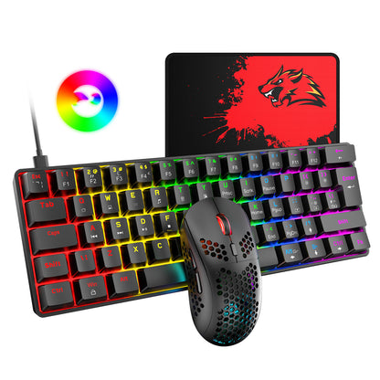 Setup Gamer Completo RGB – Kit PRO